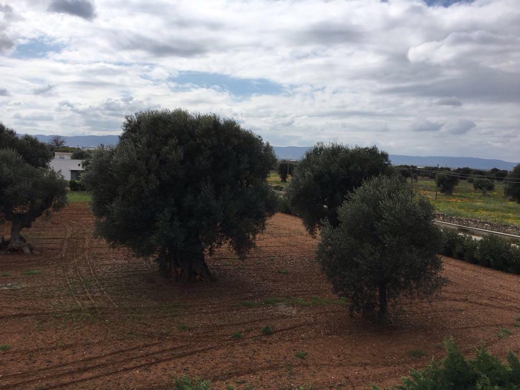 Villa Anna Savelletri Dış mekan fotoğraf